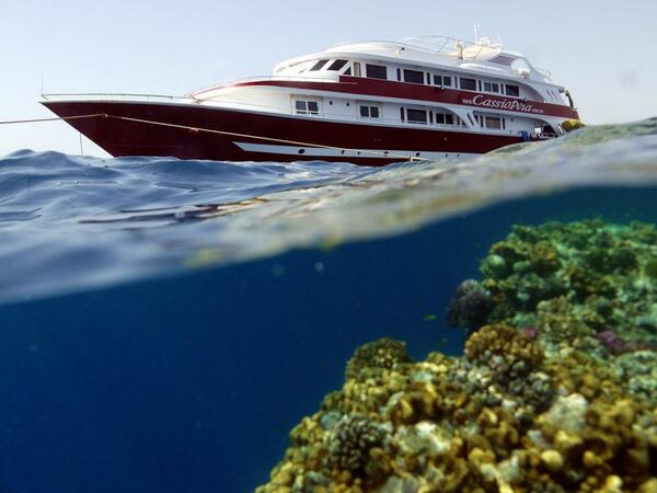 EgyptAdventureT's tweet photo. Scuba diving information on the best places to dive and what you need to know before booking your next dive holiday. http://t.co/FUxk7G2Uqs