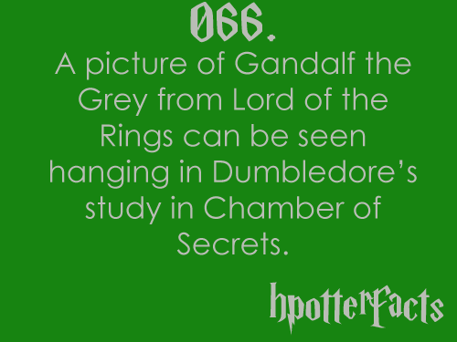 CommonPotterFan's tweet image. 