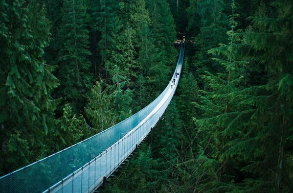 _Paisajes_'s tweet photo. Puente en suspension en Vancouver. http://t.co/x1aRmhTVab