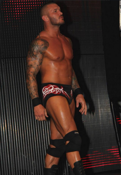 fan4wrestling's tweet photo. RT"@SpunkySchell: #evolutionvsshield at #Payback2014 ! I am so ready! #TeamOrton for sure! http://t.co/sML2BqxTQ4" @RandyOrton 😄😍👍👏💪