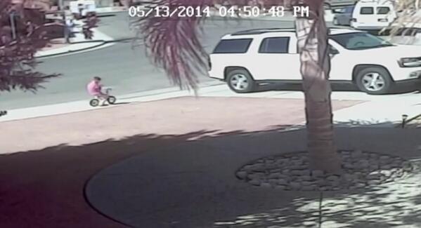 makes_buzz's tweet image. Cat Fights Off Violent Dog Attacking Little Boy  - A Must See!
makes.buzz/cat-fights-off…