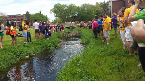 AmericanNRHH's tweet photo. @americanuniversity is waiting by the finish line to see if their rubber ducky wins the race!  @nacurh60 http://t.co/yoPaiebytW