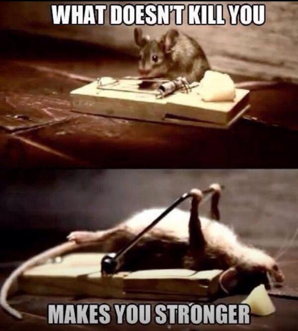 BaylisStuart's tweet image. 