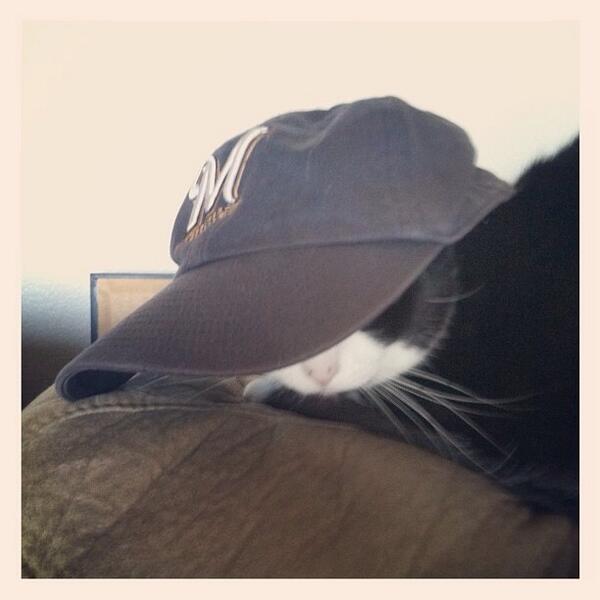 ashsc85's tweet photo. Dalphie rockin the Brewers cap!  #represent #wisfanphoto http://t.co/7Z7PkI0kXy