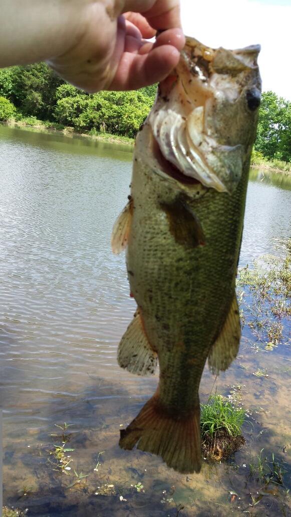 Brian Dickson tweet media