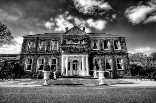 Colm Mullen photo tweet media