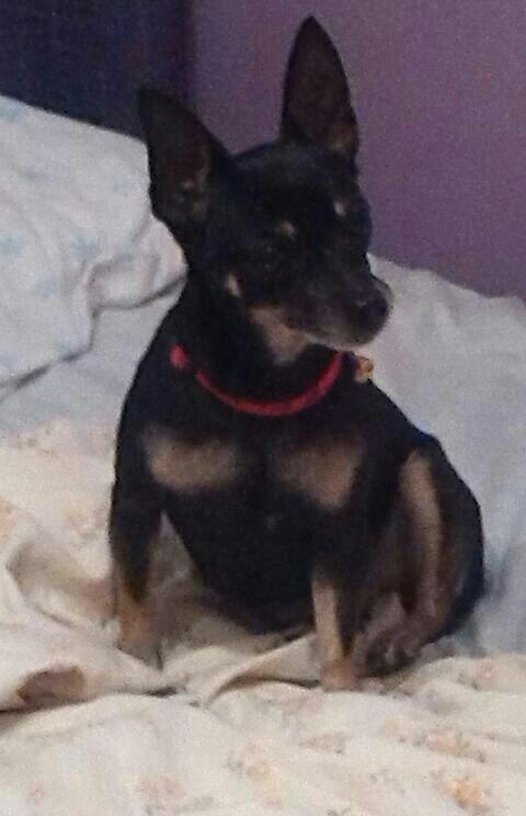 peteta fernandez ♡ (@petetafernandez) on Twitter photo 