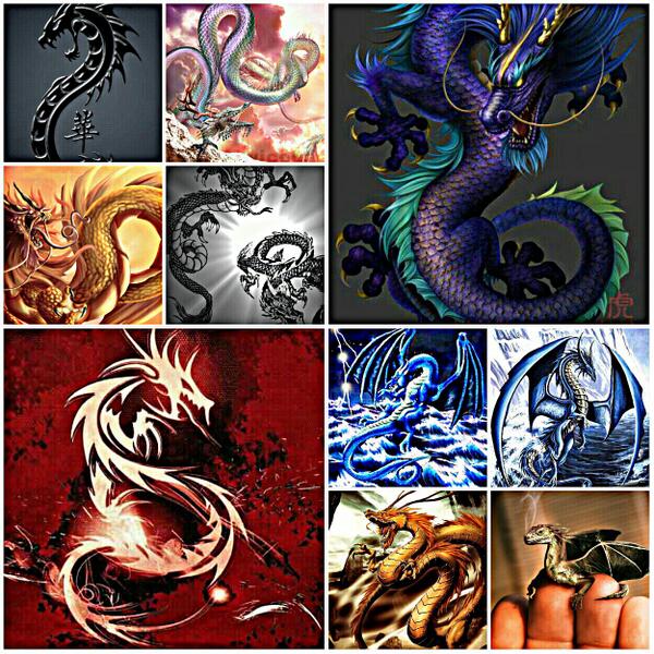 bvanime's tweet photo. Dragons http://t.co/GiDmP9rk9q