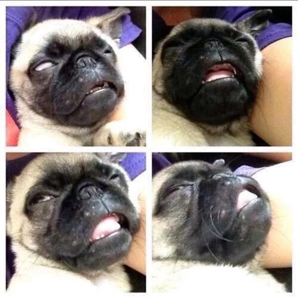 B0OtyHadMeLike's tweet photo. Booty had me like http://t.co/2kono1kFbZ