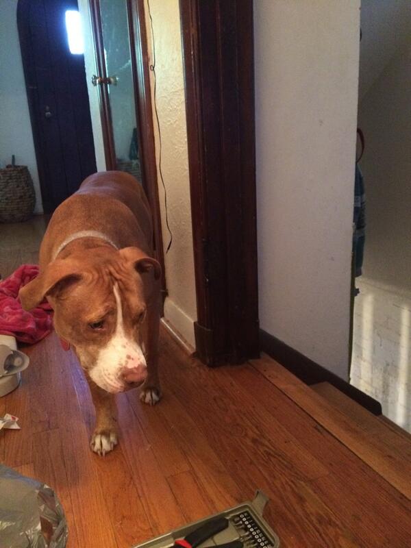 Concerned peanut gallery. She's been like this for 15 minutes