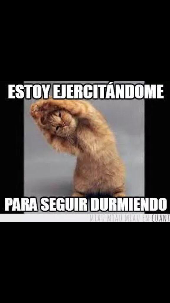 Grenas79's tweet image. 