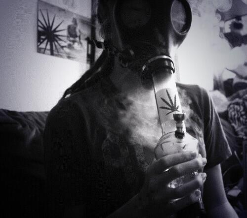 StonerGirlDaily's tweet photo. RT if you like to smoke on a gas mask!🙌🍁 http://t.co/9B05ubqH7o