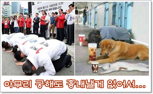 "<a href="/hakamsong/">학암송</a>: 아무리 궁해도 따라 할 걸 따라해야지?
베끼더라도 인간의 흉내내셔야지요.... "
×××눈엔 모든게 ×로 보이는가 보다!