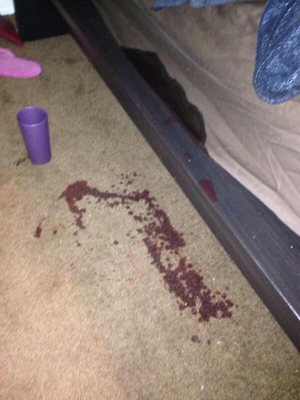 MOUNTAINWOLFIE's tweet image. “@JanetteDelagar1: FAAAAACCCKKKM KOOL AID !!!!! THESE SHEETS FRESHLY CLEAN TOO HDBSKANABA http://t.co/MnDFQKWap4” #koolaidproblems