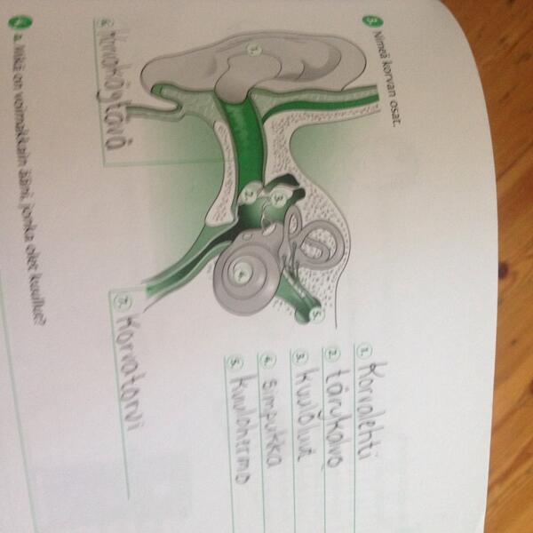 BrittieBailey's tweet image. Cousin's 5th grade biology homework! #SoAdvanced!