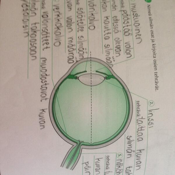 BrittieBailey's tweet image. Cousin's 5th grade biology homework! #SoAdvanced!