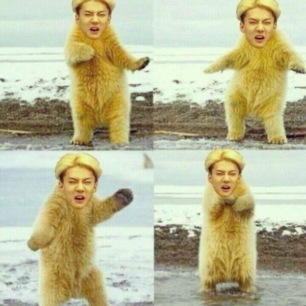 KataOlaf_RP's tweet photo. bang sehun kena kutuk apaan jdi begini kak? #KataOlaf http://t.co/JLGAsF6a94