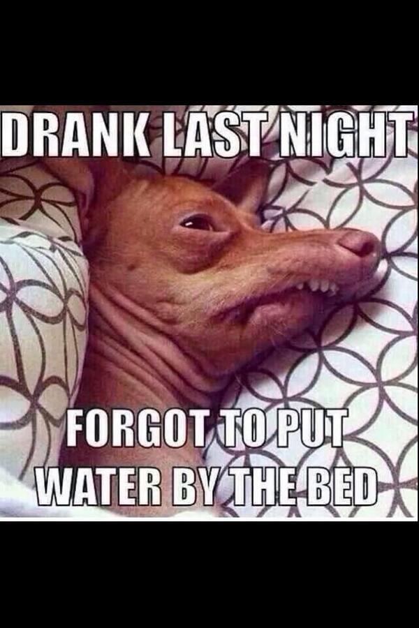 MrDDyer's tweet photo. Good morning my loves. Here's a shout out to the poor souls who suffered this on this horrible Monday morning... http://t.co/ZZwkUA8CtD