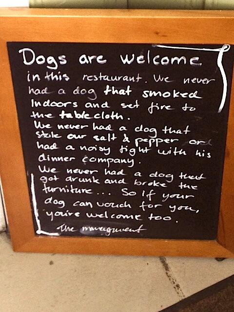 This restaurant in Stockholm has got it spot on #petfriendly #dogs #pets
