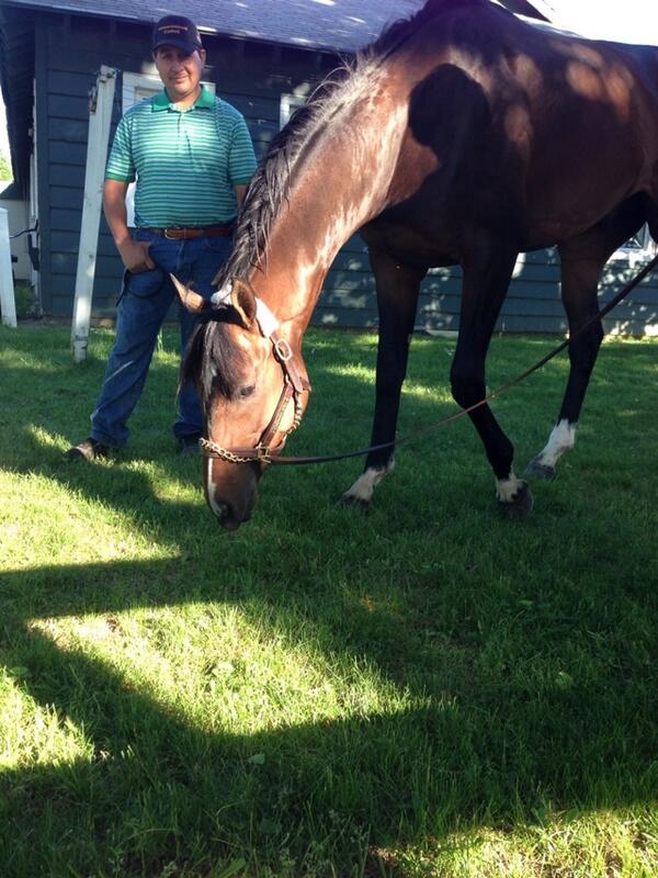 ClaireECrosby's tweet photo. Kentucky Derby runner-up Commanding Curve has very important pre-#belmontstakes goal -- eat all the grass!!! http://t.co/YlAVeolCde