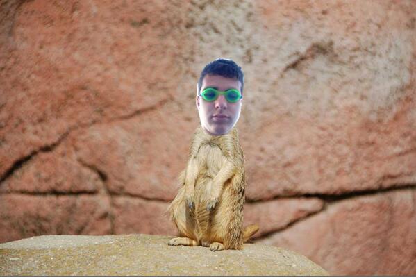 GoRelapse's tweet image. 