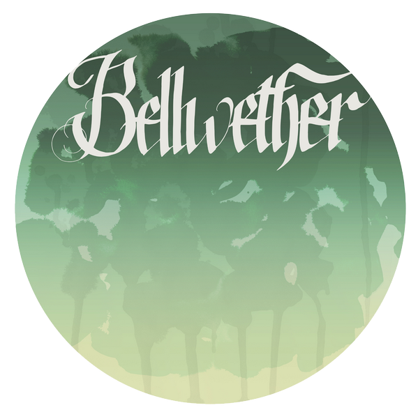 BELLWETHER: PNCA MFA in Visual Studies Thesis Exhibition 2014, 
PNCA 1241 NW Johnson St., Portland, OR  June 5, 6-9pm