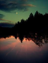 ColaBums's tweet image. oh sweet paradise.