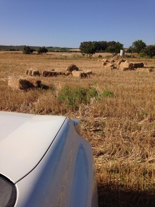 frannhervas's tweet photo. Mañanita entretenida cargando pacas de paja!! http://t.co/BisweriKe6