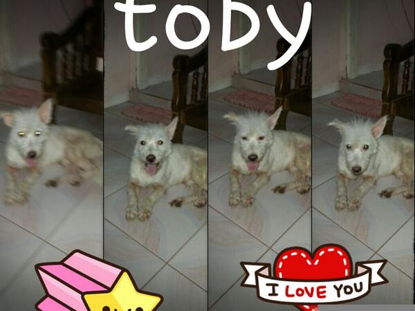 jinnalene28's tweet photo. #happytoby #happyme #luvu http://t.co/q2plktkiM8