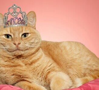 NalusSuperStar's tweet photo. Yo siempre he sido y seré la reina ♡ http://t.co/PhBNFgWfdD