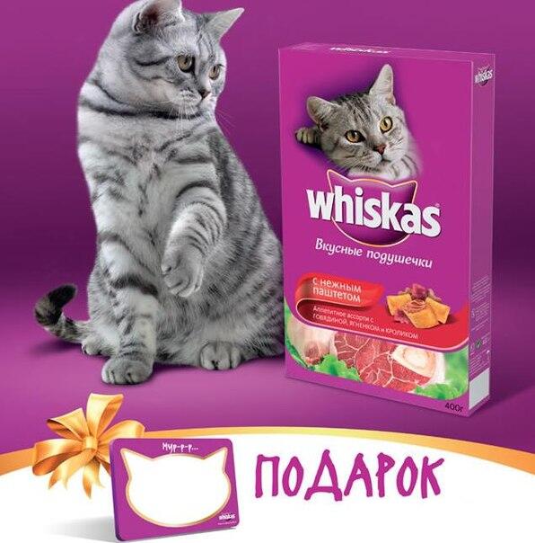 красивые фоны для рабочего стола кошка вискас. вискас в миске. вискас для котят. реклама вискас. музыка из рекламы вискас для котят.
