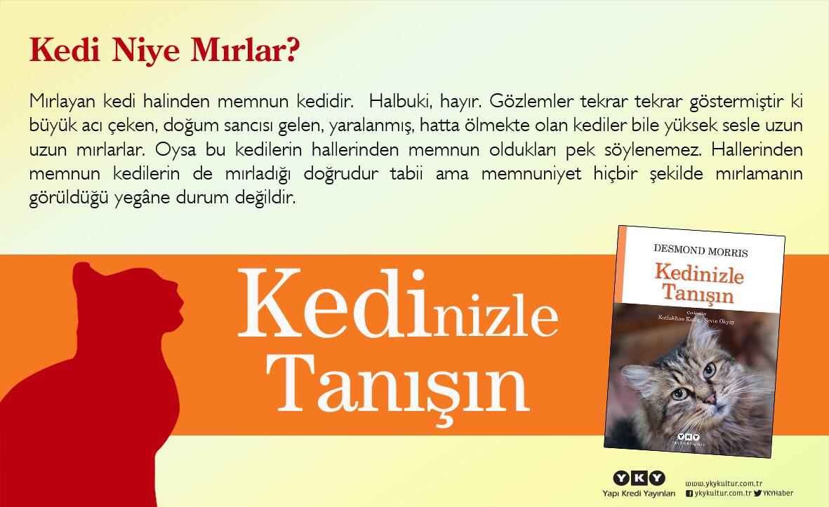 kedi niye mırlar