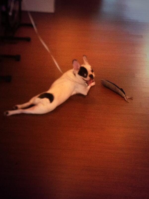 siwonchoi's tweet photo. 나는 려욱님이 무서워요. @ryeong9 http://t.co/n9N0sXvVSu