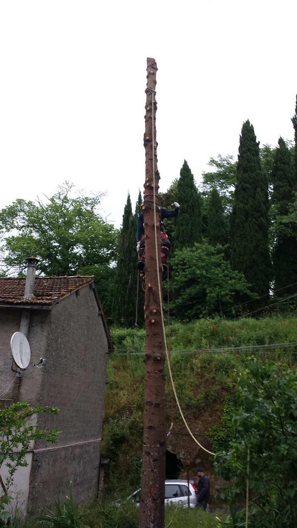TreeClimbingVT's tweet image. #treeclimbingviterbo.it