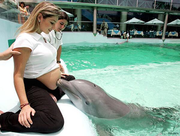 sabiastuque_'s tweet photo. Sabias que los delfines tienen una fuerte conexión con los seres humanos, especialmente con las mujeres embarazadas http://t.co/BpNG4q3p80