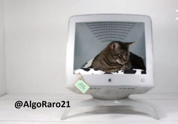 AlgoRaro21's tweet photo. Cama para gato en forma de ordenador.$130 http://t.co/GnWqhKACRR