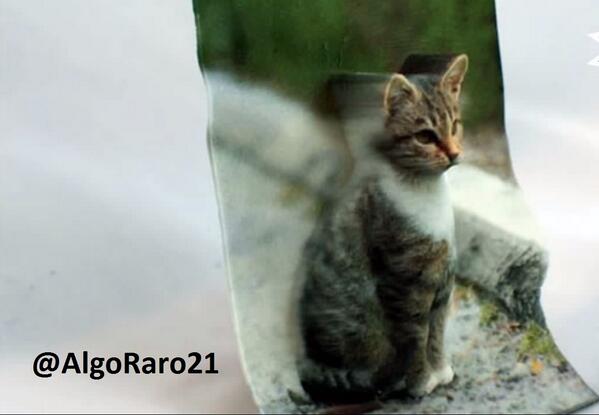 AlgoRaro21's tweet photo. Imágenes impresas en 3D (only U.S.A). $50 http://t.co/oovkHAOwGK