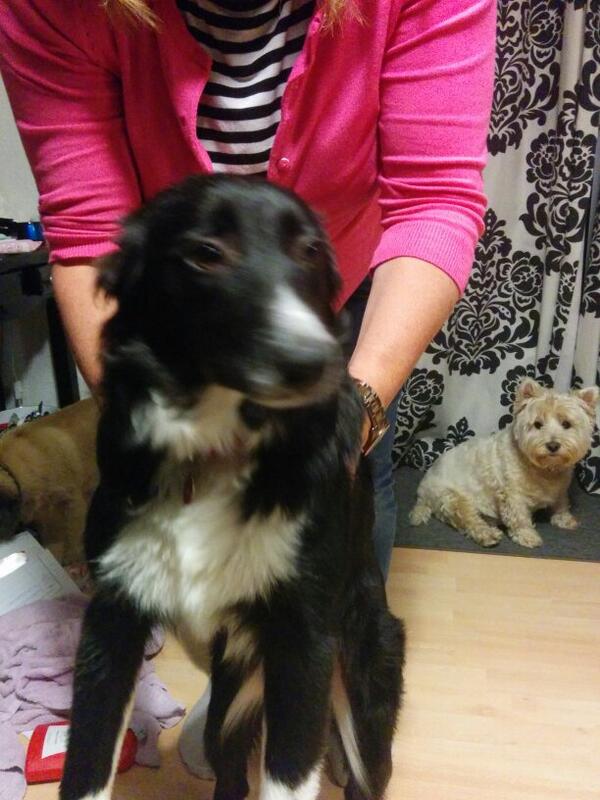 stevepick's tweet image. 