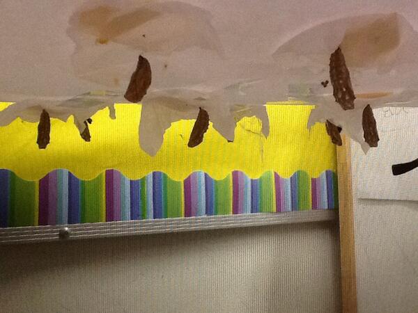 NPSC_StHubert's tweet photo. JK/SK class hatching butterflies! http://t.co/C7WQypUVg6