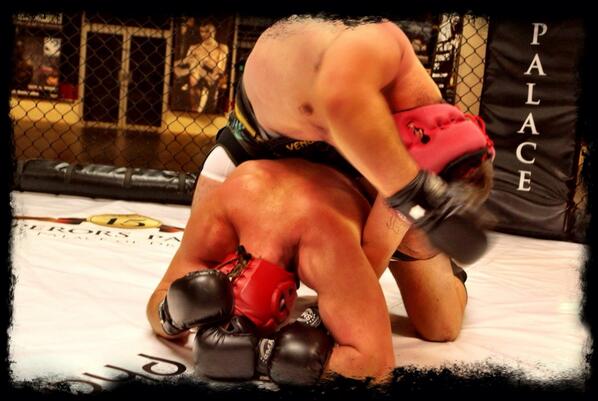 SHIDO Fight Systems tweet media