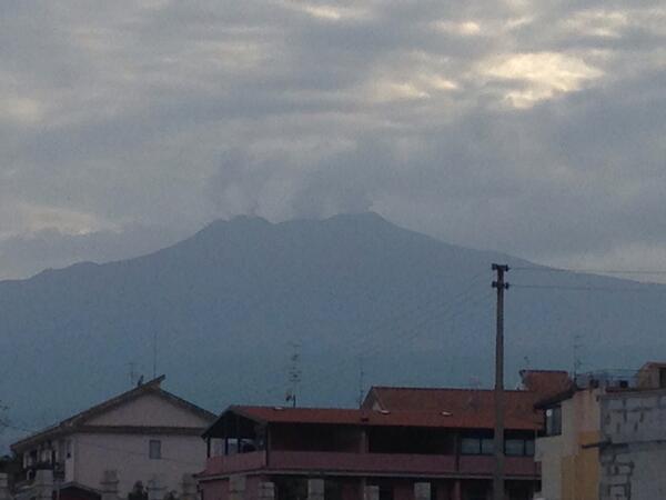 Mark Young tweet media