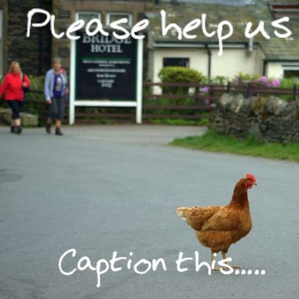 BridgeLakes's tweet photo. Please RT ..... http://t.co/ay3HRduLkc