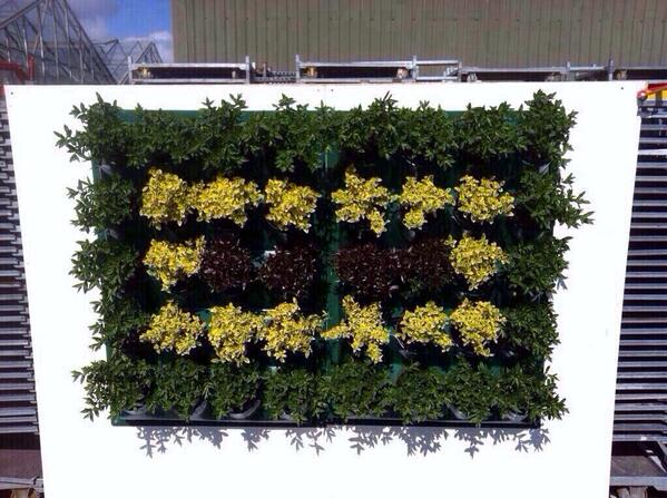 @VerityBarrow Convert that boring wall or fence into a stunning vertical garden or GYO herbs fruit veg on the wall.