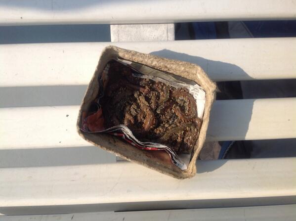 Vandaag met collega's <a href="/eldecollege/">Elde College</a> gevist op de Grevelingen #teambuilding. Fantastisch weer!