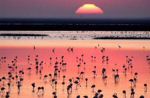 golfillo6's tweet photo. Precioso atardecer en sanlucar de barrameda... Que bonita es nuestra ANDALUCÍA :) http://t.co/hgv96jv5cx