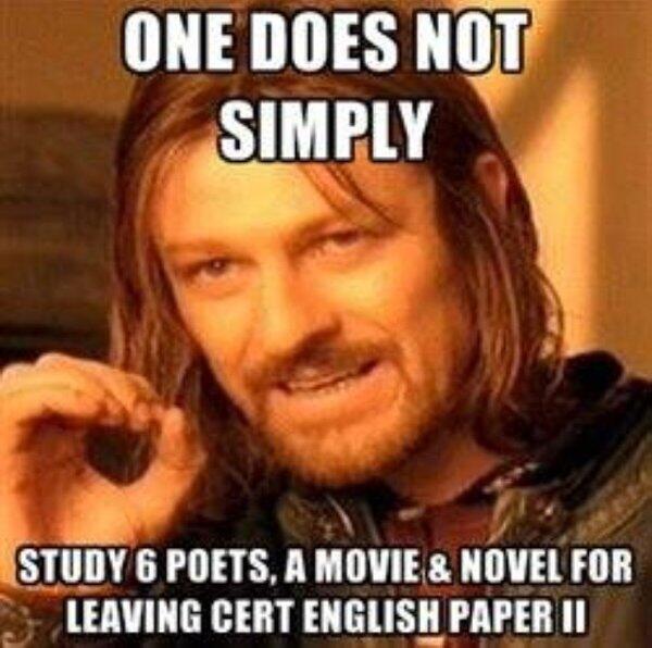 Jessicasomersx's tweet image. Think this is every 6th year in the county hahaha @LCMemes2014 #leavingcertproblems