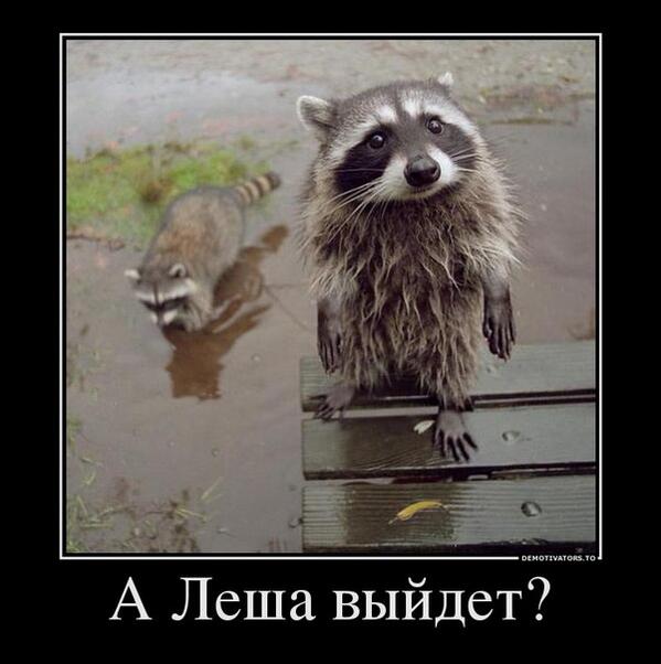 Vyacheslav2N8d's tweet photo. http://t.co/wlmeCsBEe6