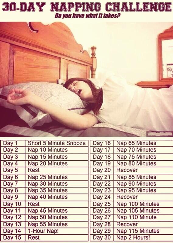 "@LifeCheating: The 30 Day Nap Challenge " <a href="/ryanpoerner25/">Ryan Poerner</a>