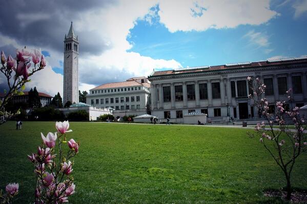 Dream Colleges tweet media