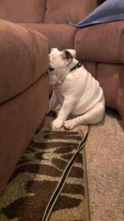 foxromi's tweet photo. "@Santi_Vatt: Estas enojado con alguien y te preguntan si tenes hambre http://t.co/q803Zxd8ND"  @kaingimenez